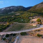 The Greek Wine Experience, Kefalonia, Greece